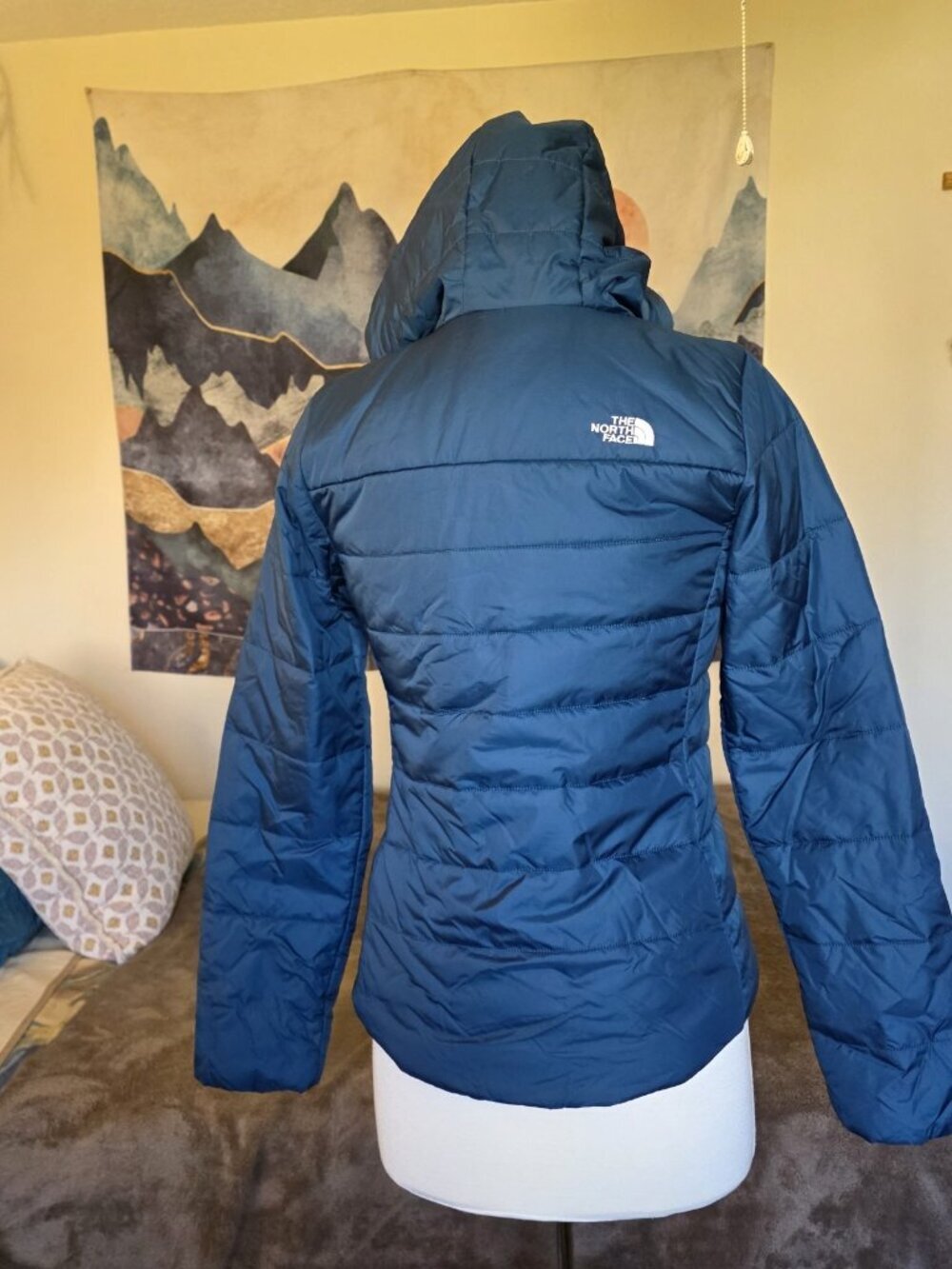NWT The North Face Monterey Blue Flare Insulated Puffer Hoodie Jacket S - Picture 5 of 16